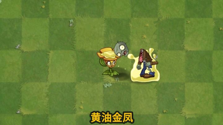 植物大战僵尸：黄油金凤有何不同？截图