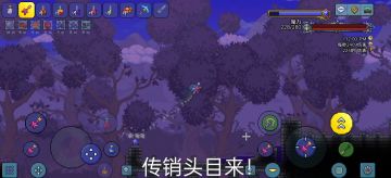 大师传销头目无伤走位讲解