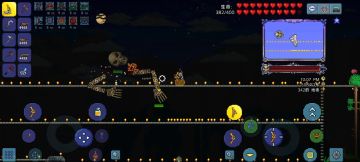 纯射手生存-第八期 Boss骷髅王 泰拉跟着转