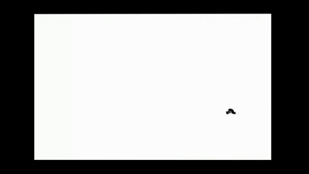 video-2428515