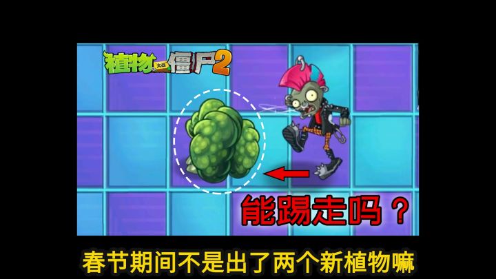 Pvz2流言终结者 朋克能踢走西兰花吗?截图