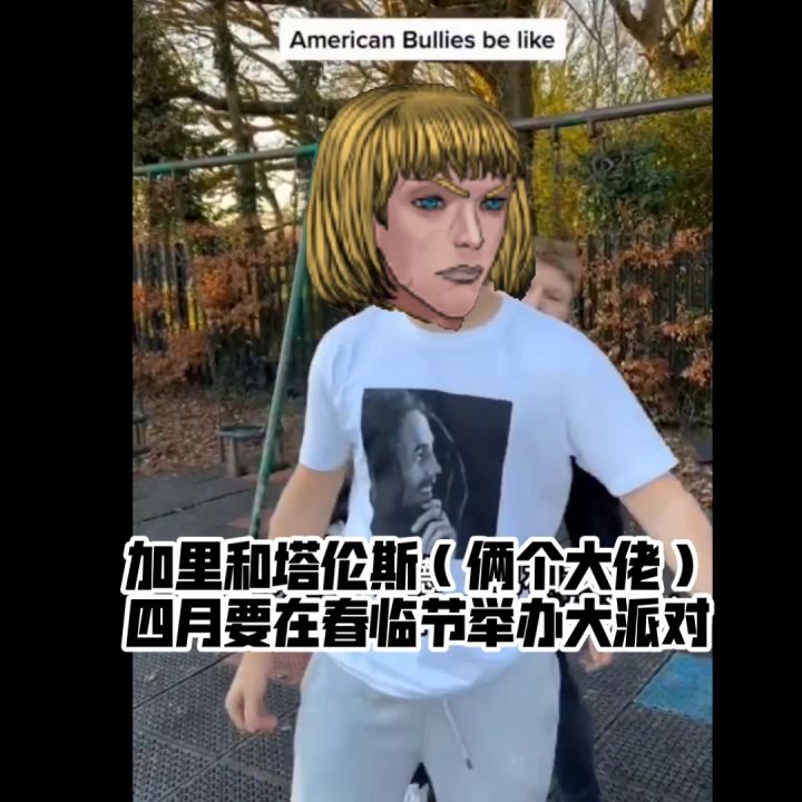 塞尼斯特式霸凌截图