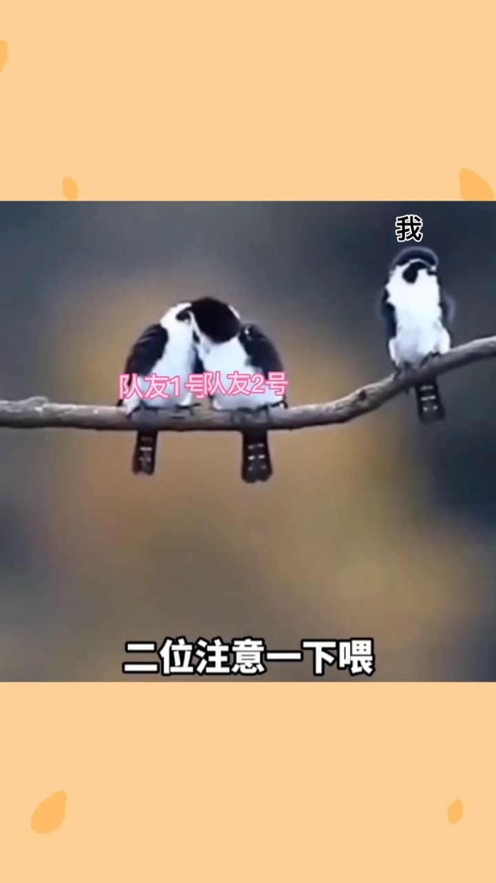 香肠派对最常见的片段截图