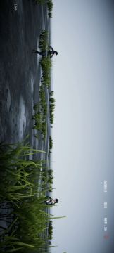 一分钟速通新手教程！！！