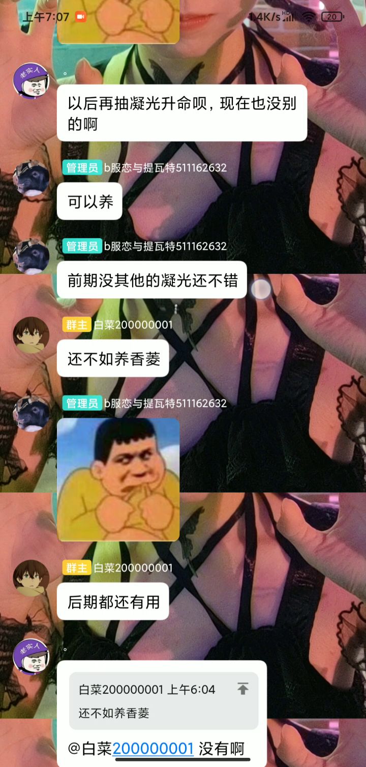 萌新前期养什么好?截图