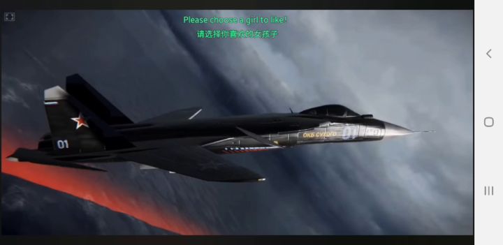 Su-47金雕3D飞行演示截图