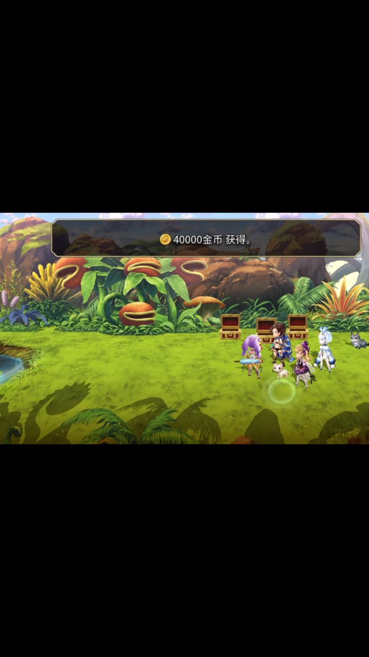 四张白票最高四境截图