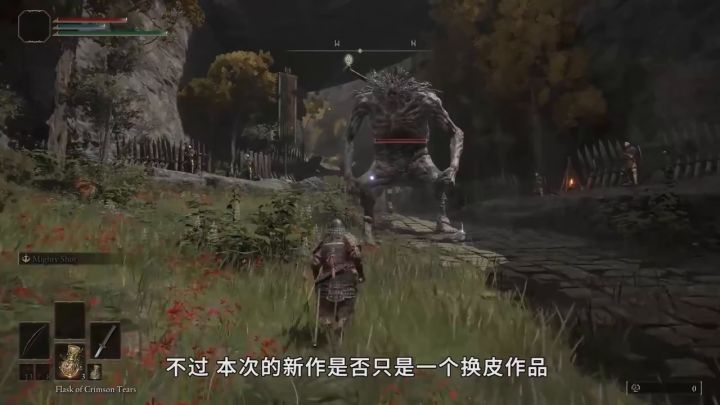 主机1.01版本《艾尔登法环》性能评测截图