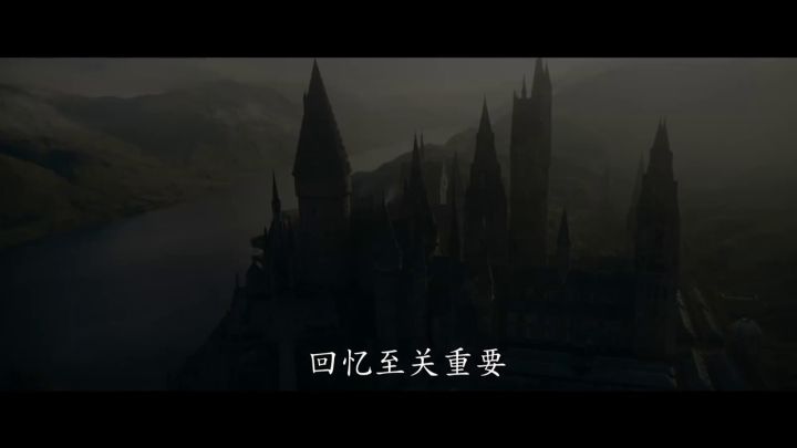 电影《神奇动物:邓布利多之谜》全新预告截图
