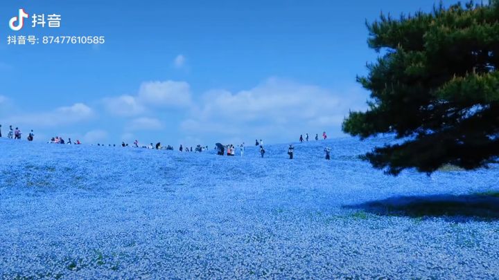 就硬喷，这个也是抄国外拍的呗截图