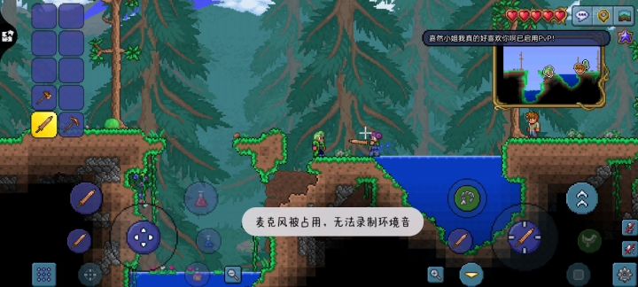 决战！泰拉之巅！截图