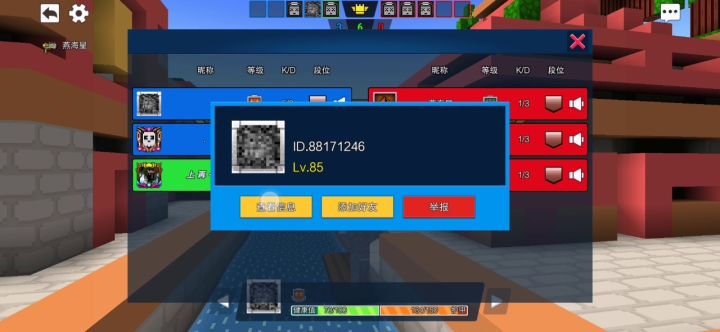 恍惚之境的队友？截图