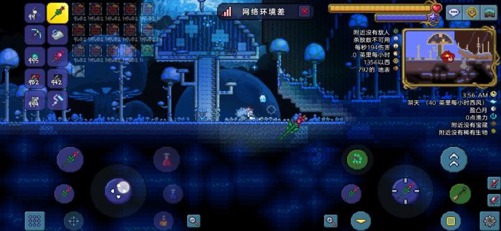 一棵大树的逝去,一片森林的新生截图