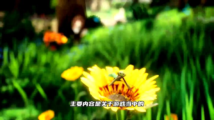 诺亚之心——细节篇,送给爱照相的你截图