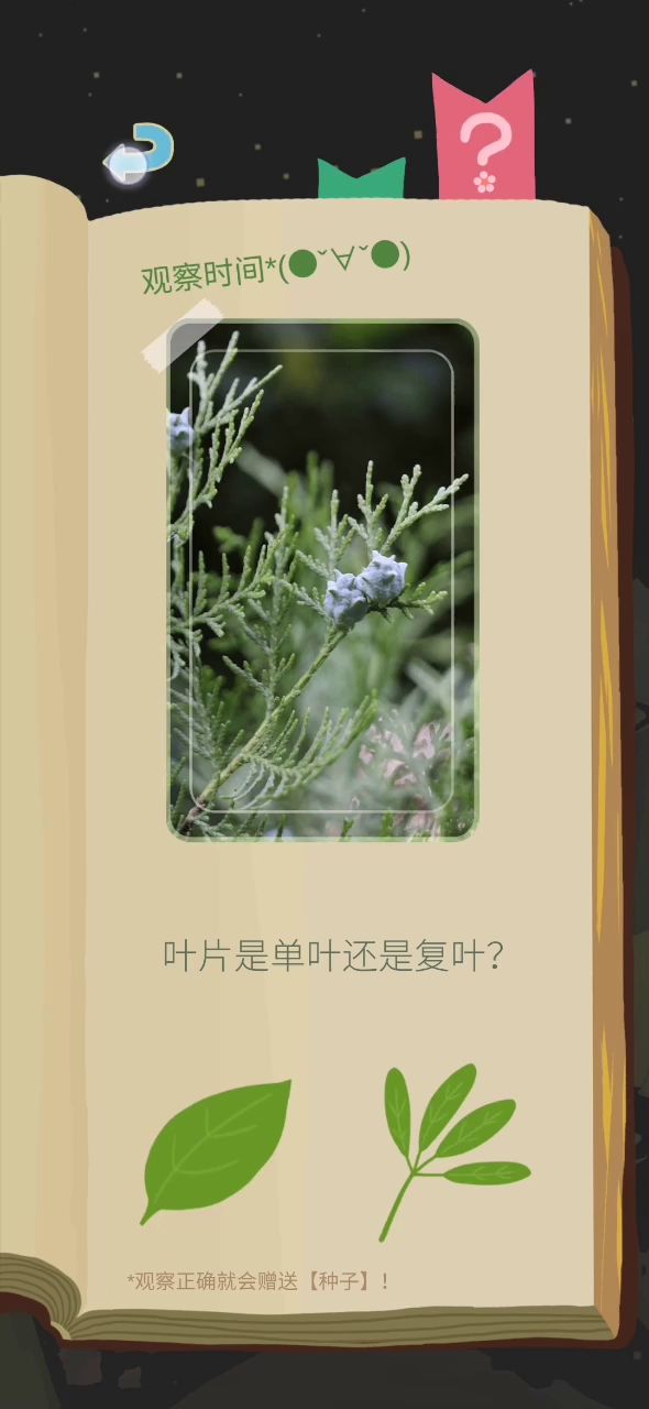求助山友,这是什么树,识别不出来截图