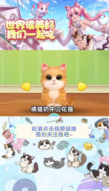 攒钱钱打造和猫咪一起生活的家园截图