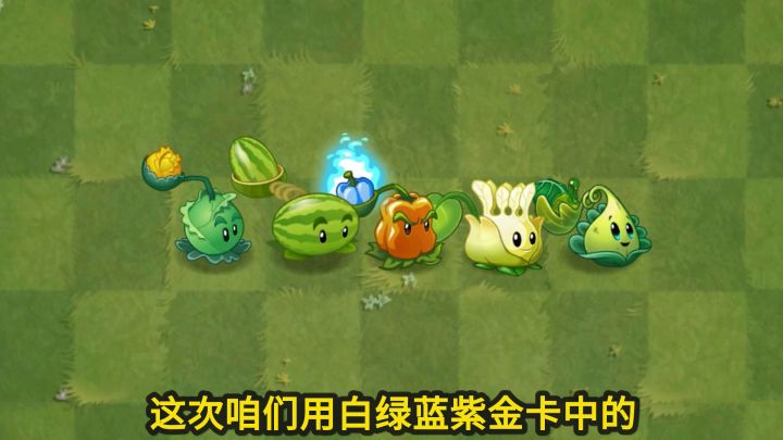 植物大战僵尸:五种颜色的投手植物,你支持谁获胜?截图