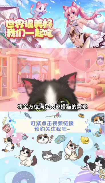 橘猫奶牛三花猫，英短美短布偶猫撸到手软!截图