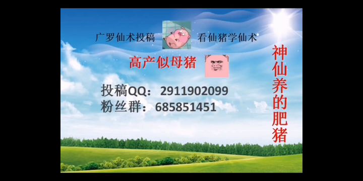 黄亮:你可以苦肉,并能出一张杀摸一张牌截图