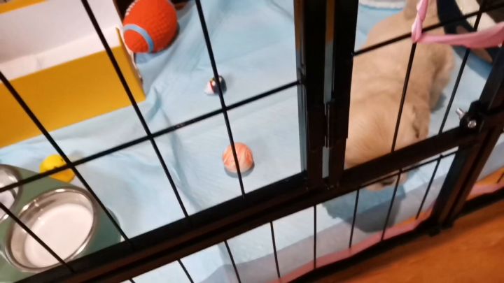 把新家弄的一团遭截图