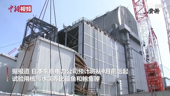 【3DM游戏网】试验用福岛核污水养鱼截图