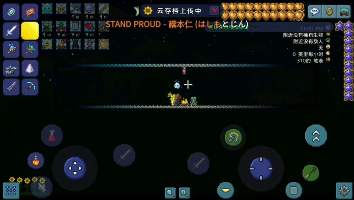 真·20秒天顶站撸月总截图