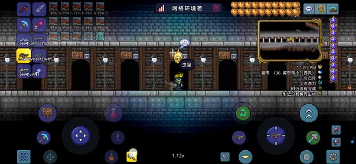 这才是腐化之地该有的样子嘛,那么多虫子看着就舒服截图