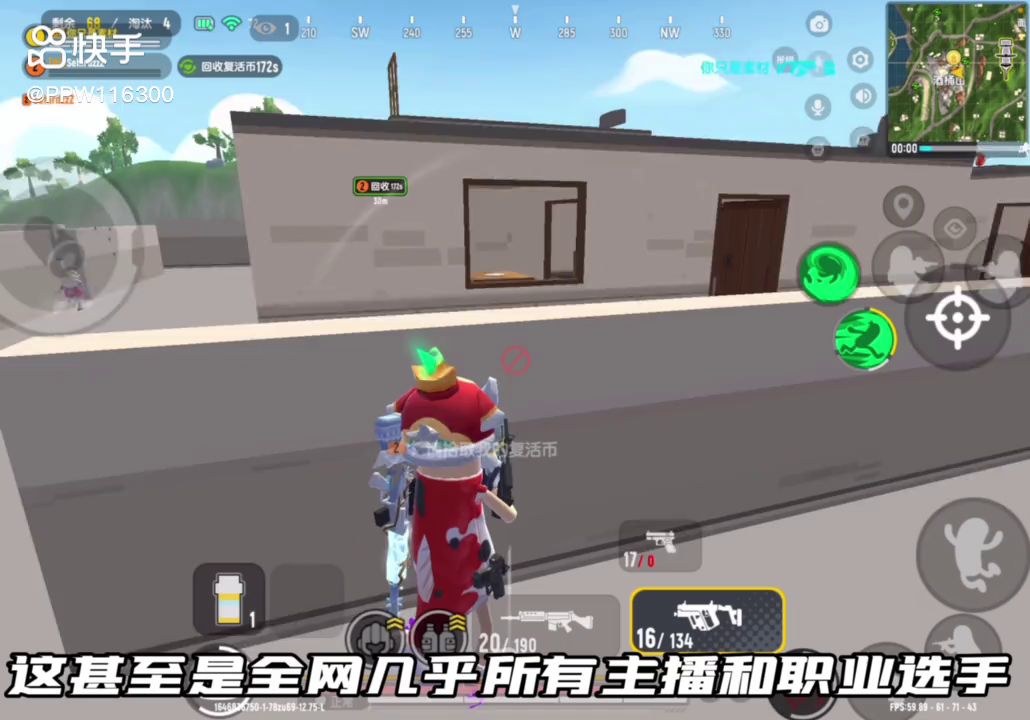video-2524962