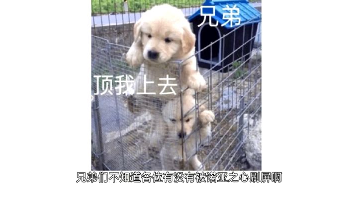 #好游研究所#诺亚之心:打工人,打工魂,干就完了截图