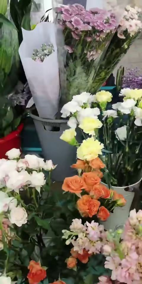 每个女孩子都抵抗不住花吧截图