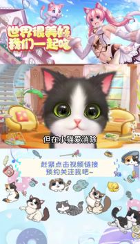 在一款消除类游戏里养猫，是一种怎样的体验？