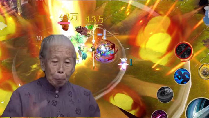 敏蚁王飞盾套装讲解截图