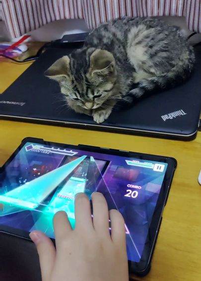 找了个陪玩小姐姐，大家看看怎么样😉截图