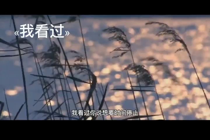 俺家监护人唱的截图