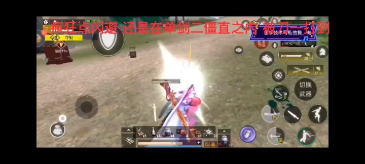 别人分析出来的视频截图