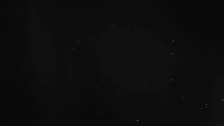 - 万象物语 - 《万象物语》雪莉复活节造型书【向光辉羽】截图