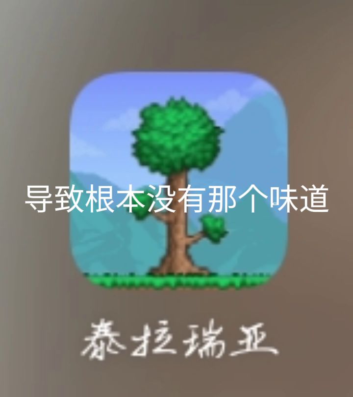 泰拉瑞亚公益联机房:Terry开放截图
