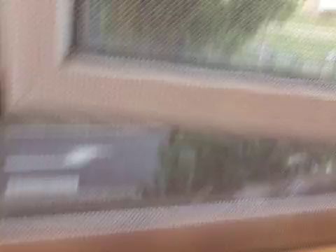 你好！这是我第一个视频截图