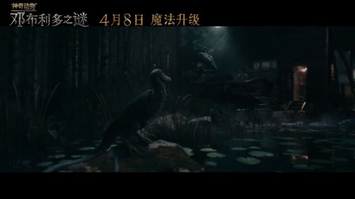 电影《神奇动物:邓布利多之谜》片段:气翼鸟截图
