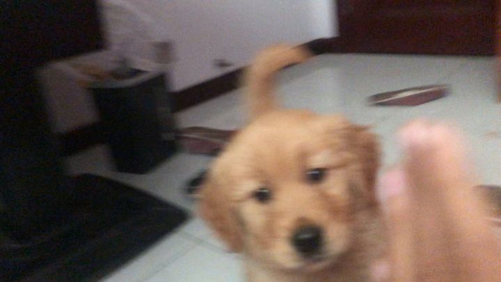 不小心把他打了截图
