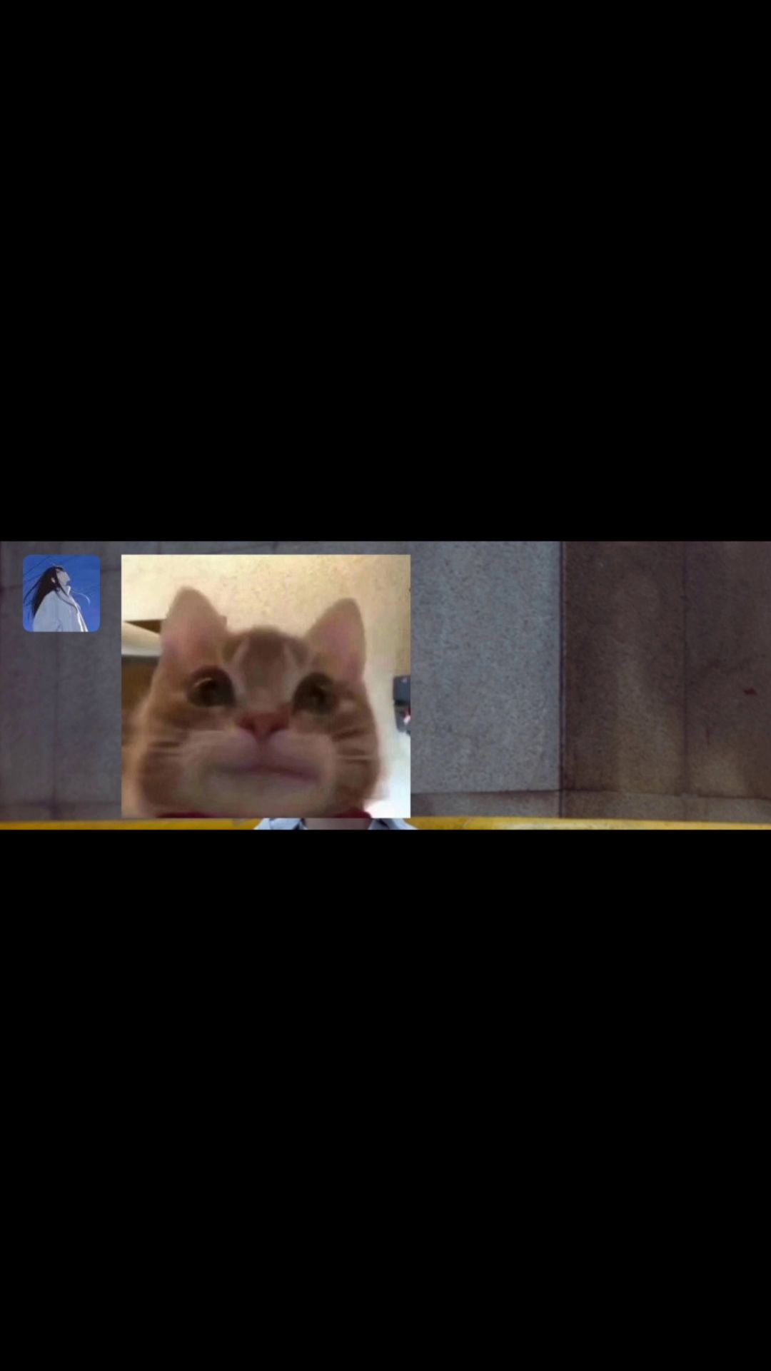 video-2540259