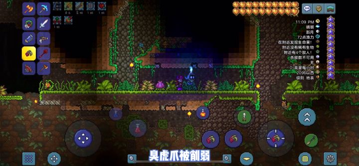 《泰拉瑞亚》国服1.4大师难度-虎爪站撸-世纪之花(2)截图