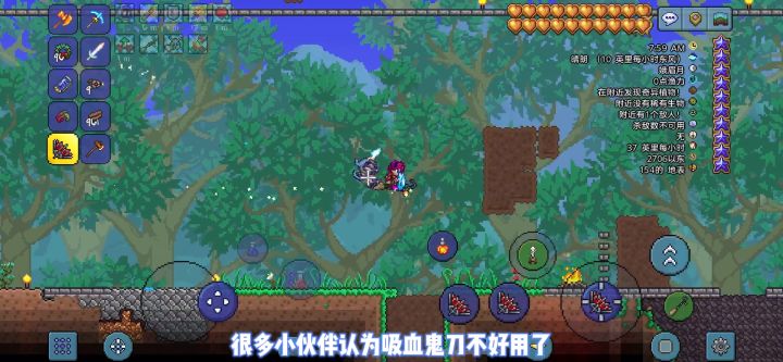 《泰拉瑞亚》1.4大师-吸血刀站撸-拜月教主(4)截图