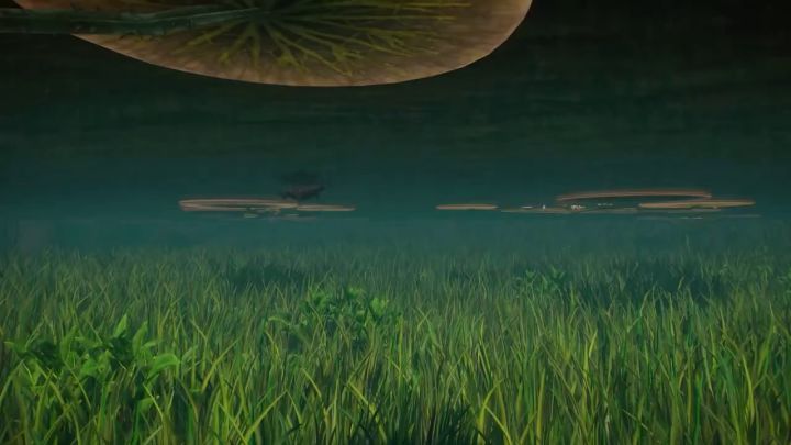 《动物园之星》「湿地动物包(Wetlands Animal Pack)」上线预告截图