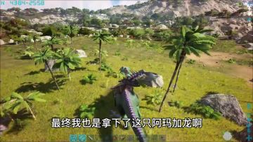 【方舟迷失岛】33:投弹专家！