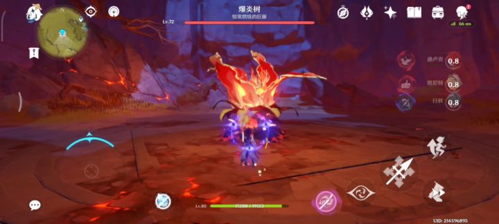 浅尝一下爆炎树截图