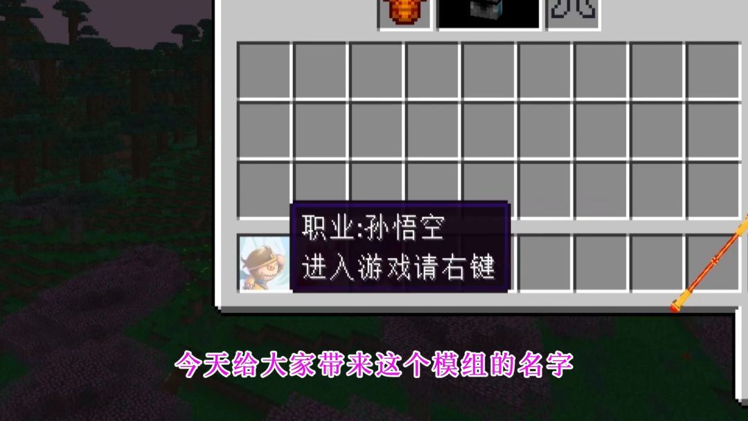 video-2563350