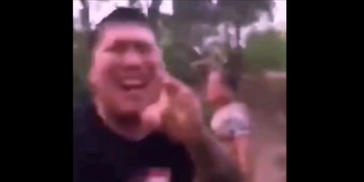 泰拉瑞亚洞穴BGM截图