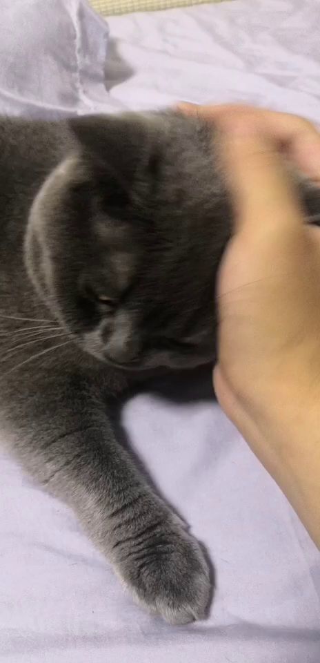 最近沉迷新来的小伙子截图