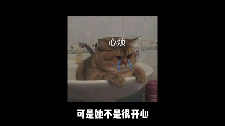 客观 理性 不掺杂任何个人感情的解说角度截图